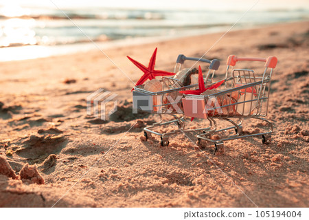 Light Frame At Sunrise On Beach, In Foreground Are Baskets With Shells, Seahorse And Star. Concept Of Relaxing On Beach With Children And Collecting Souvenirs On Vacation. Light Frame At Sunrise On Beach, In Foreground Are Baskets With Shells, Seahorse And Star. Concept Of Relaxing On Beach With Children And Collecting Souvenirs On Vacation. 105194004