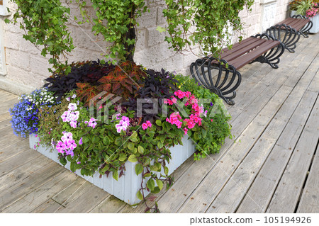 Flowers in a vase near the house Flowers in a vase near the house 105194926