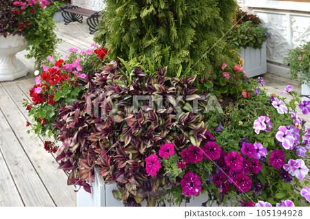 Flowers in a vase near the house Flowers in a vase near the house 105194928