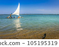 Carneiros Beach and jangada boat in Pernambuco, Northeastern Brazil, South America 105195319