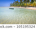 Carneiros Beach and boat in Pernambuco, Northeastern Brazil, South America 105195324