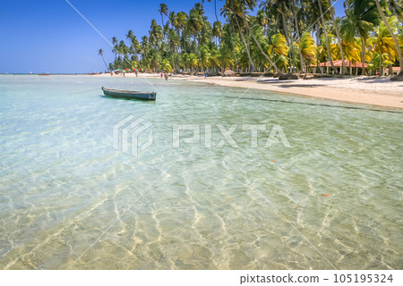 Carneiros Beach and boat in Pernambuco, Northeastern Brazil, South America Carneiros Beach and boat in Pernambuco, Northeastern Brazil, South America 105195324
