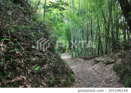 佐渡原城 佐渡原城 105196148