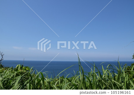 從草地到大海新潟 從草地到大海新潟 105196161