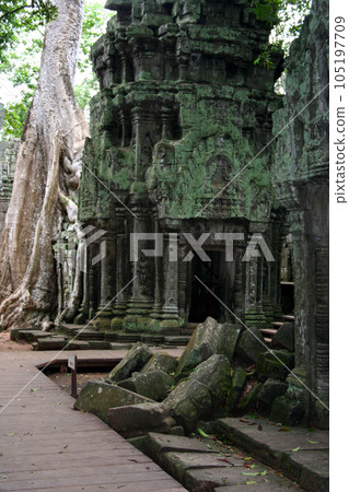 Ta Prohm temple in Siem Reap 105197709