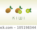 Graphic element for ecological products, cosmetics, grocery store. Vector illustration. 105198344