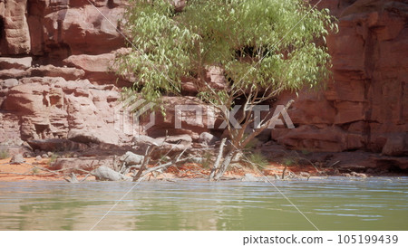 landscape with red sandstone rock and river 105199439