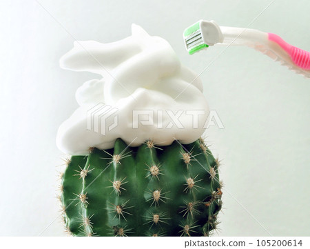Cactus and abstract concept of shaving Cactus and abstract concept of shaving 105200614