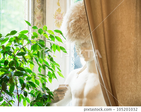 Bright authentic home interior. Plaster bust behind the curtain by the window, indoor plants. Home landscaping, urban jungle, biophilic design. Selective focus, close-up. Bright authentic home interior. Plaster bust behind the curtain by the window, indoor plants. Home landscaping, urban jungle, biophilic design. Selective focus, close-up. 105201032
