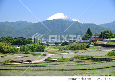 南阿爾卑斯市中野地區的梯田和富士山 105201459