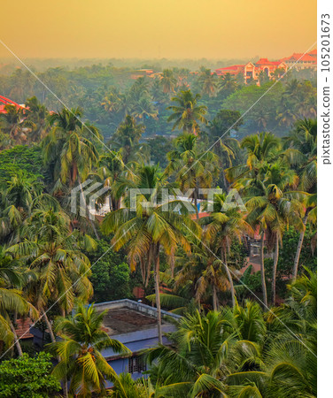 surrounded by palm groves Maharaja Palace surrounded by palm groves Maharaja Palace 105201673