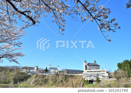 Royal Tainai Park Hotel and cherry blossoms (Niigata Prefecture) 105201799