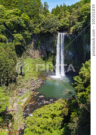 Kumamoto/Kyushu's representative large waterfall Gorogataki Falls in the fresh green of a rainbow 105201839