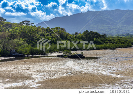 名倉橋(石垣島,10月,晴) 名倉橋(石垣島,10月,晴) 105201981