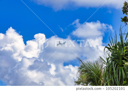 Maesato Beach (Ishigaki Island, October, sunny) 105202101