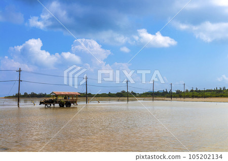 Yubu Island (October, Iriomote Island, sunny) 105202134