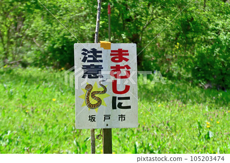 A billboard warning of vipers on the side of the road in Asaba Biotope Park A billboard warning of vipers on the side of the road in Asaba Biotope Park 105203474