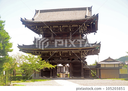 Kyoto Seiryoji Niomon-4 105203851
