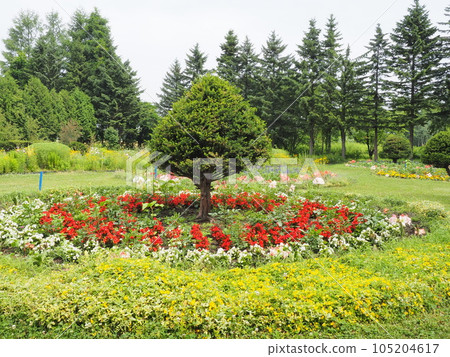 Shichiku garden scenery Shichiku garden scenery 105204617