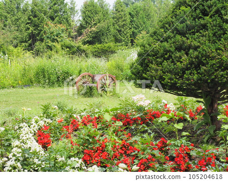 Shichiku garden scenery Shichiku garden scenery 105204618