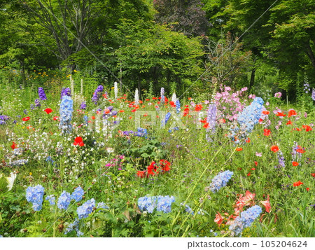 Shichiku garden scenery 105204624
