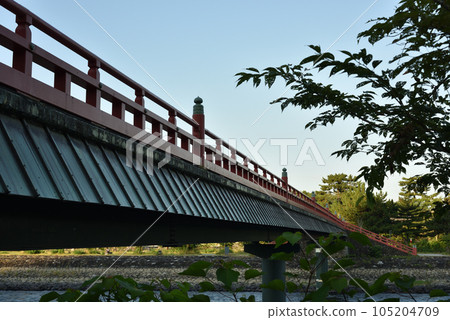 早晨 朝霧橋 宇治 105204709