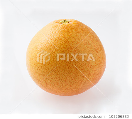 Grapefruit Ruby White Background Grapefruit Ruby White Background 105206883