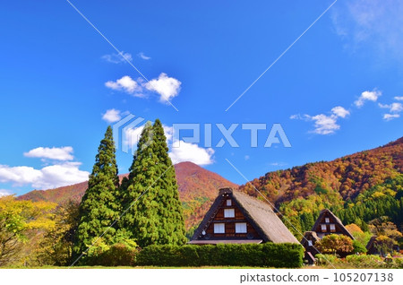 World heritage Shirakawa-go Gassho-zukuri village autumn view World heritage Shirakawa-go Gassho-zukuri village autumn view 105207138