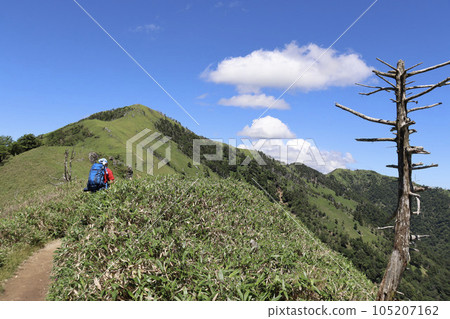 Climbers walking on a mountain trail aiming for the summit of Mt. Tsurugi in Tokushima Prefecture 105207162