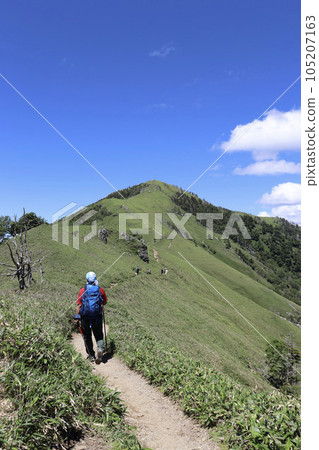 Climbers walking on a mountain trail aiming for the summit of Mt. Tsurugi in Tokushima Prefecture 105207163