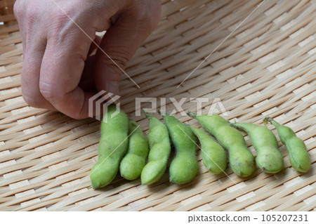 綠色大豆與樹枝 綠色大豆與樹枝 105207231