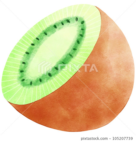 Fruit Watercolor hand draw 105207739