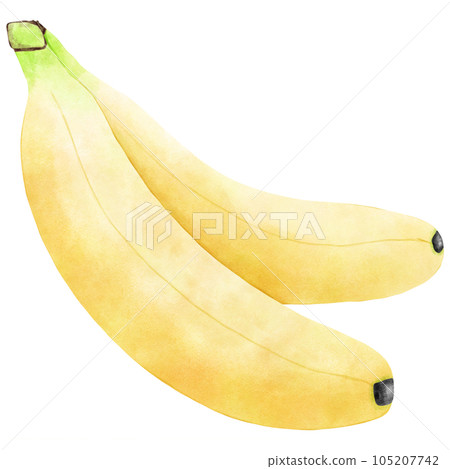 Fruit Watercolor hand draw Fruit Watercolor hand draw 105207742