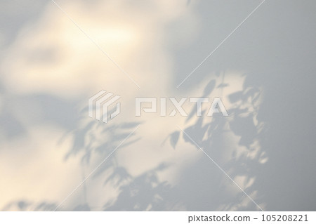 Abstract natural tree leaves shadow on white wall background Abstract natural tree leaves shadow on white wall background 105208221