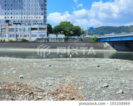 View of the mouth of the Okitsu River on a summer day View of the mouth of the Okitsu River on a summer day 105208969