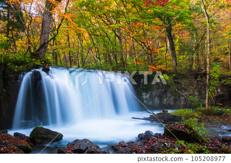 Oirase Stream (Autumn): Choshi Waterfall 105208977