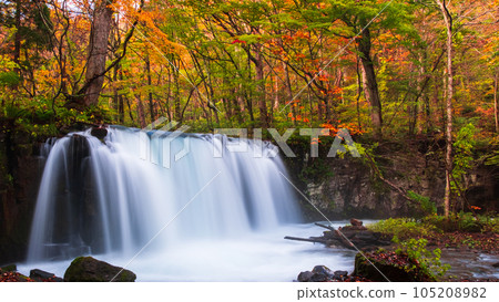 Oirase Stream (Autumn): Choshi Waterfall Oirase Stream (Autumn): Choshi Waterfall 105208982
