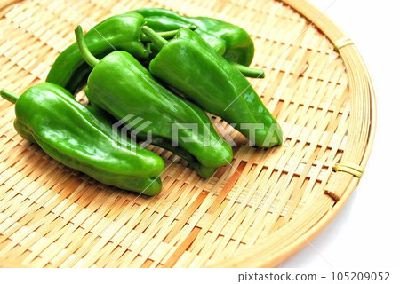 green peppers in a colander green peppers in a colander 105209052