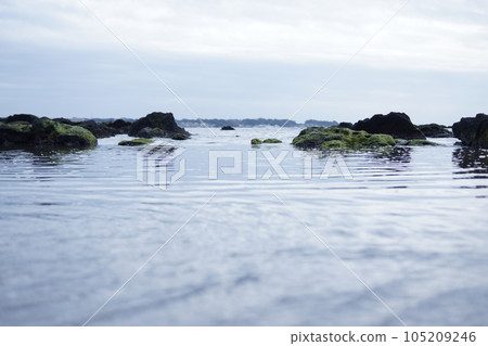 安靜的海洋 105209246