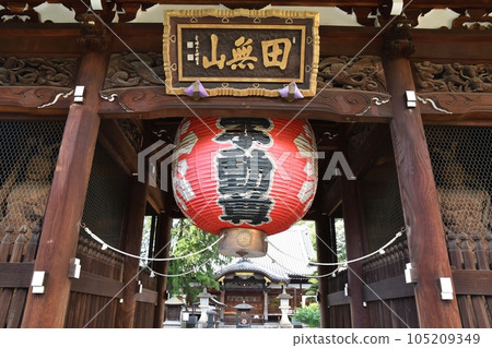 Sojiji Temple in summer, Tokyo 105209349