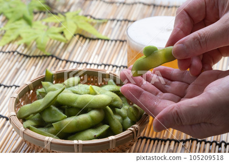 Edamame Beer Edamame Beer 105209518