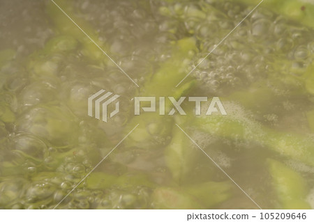 毛豆煮 毛豆煮 105209646