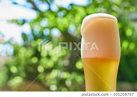 Draft beer poured into a beer glass 105209707