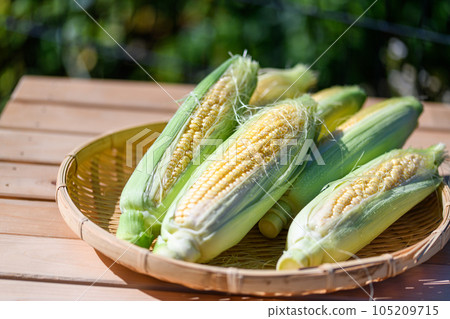 fresh corn raw peeled 105209715