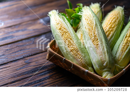 新鮮玉米未加工去皮 105209728