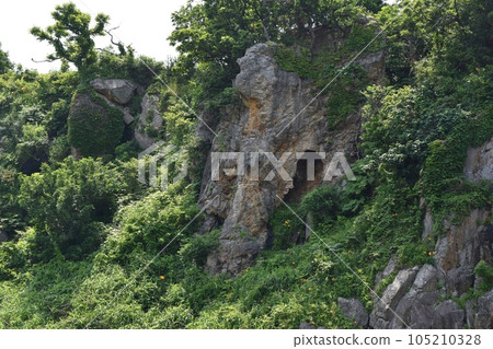 Scenery of Senkaku Bay in early summer, Niigata 105210328