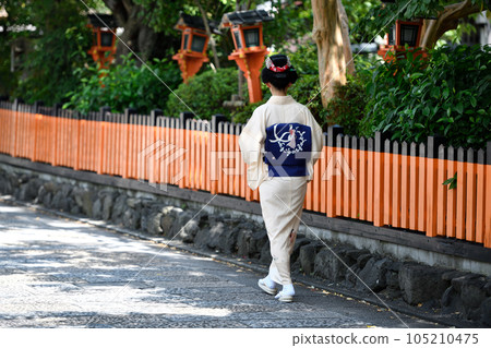 Maiko walking down Shirakawa-dori Maiko walking down Shirakawa-dori 105210475