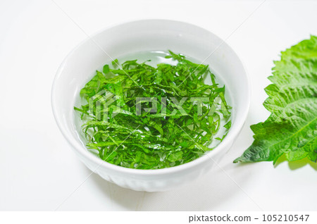 Shredded green shiso soaked in water 105210547