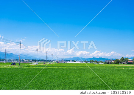 夏天 安曇野 安曇野市 夏天 安曇野 安曇野市 105210559