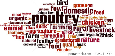 Poultry word cloud 105210658